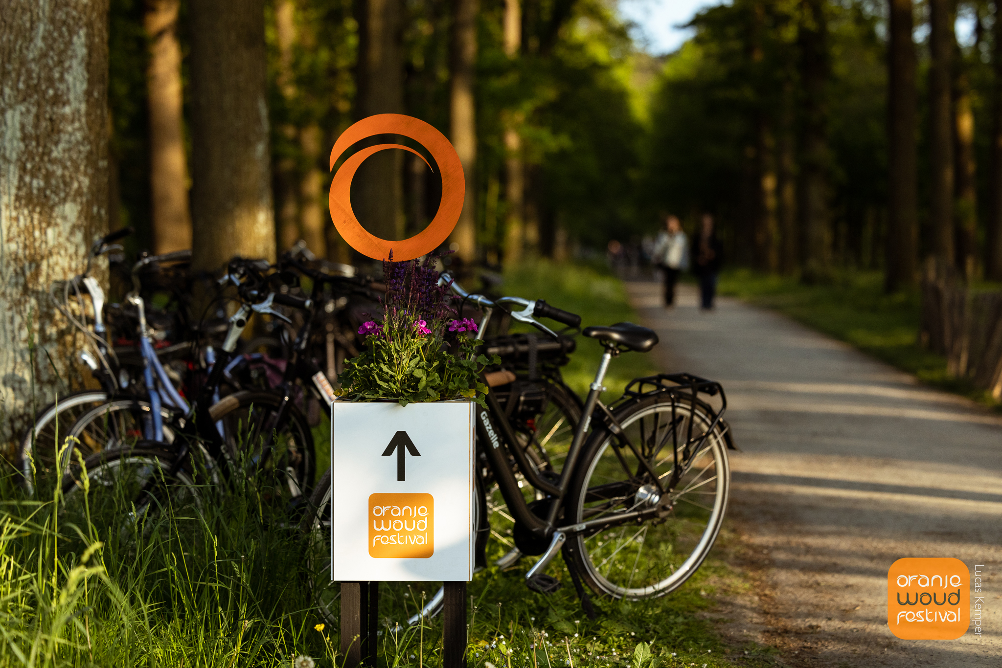 Oranjewoud festival | 2021 - 2024